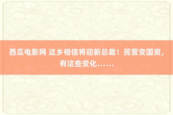 西瓜电影网 这乡相信将迎新总裁！民营变国资，有这些变化……