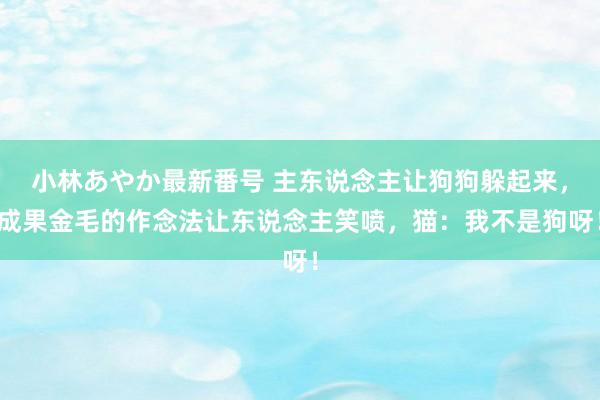 小林あやか最新番号 主东说念主让狗狗躲起来，成果金毛的作念法让东说念主笑喷，猫：我不是狗呀！