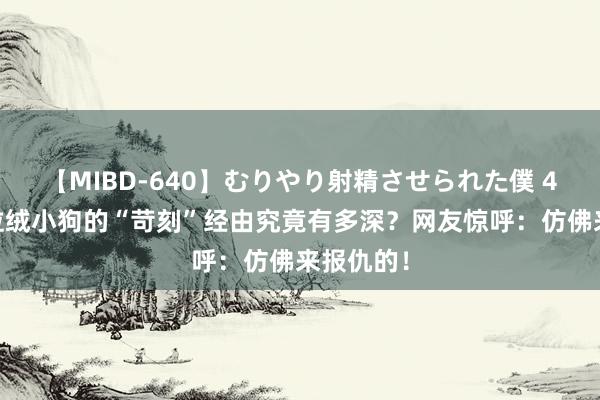 【MIBD-640】むりやり射精させられた僕 4時間 摇粒绒小狗的“苛刻”经由究竟有多深？网友惊呼：仿佛来报仇的！