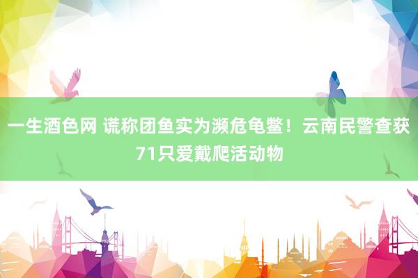 一生酒色网 谎称团鱼实为濒危龟鳖！云南民警查获71只爱戴爬活动物