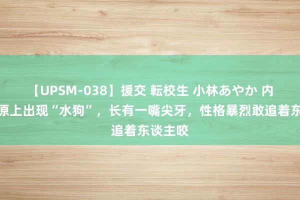 【UPSM-038】援交 転校生 小林あやか 内蒙一草原上出现“水狗”，长有一嘴尖牙，性格暴烈敢追着东谈主咬