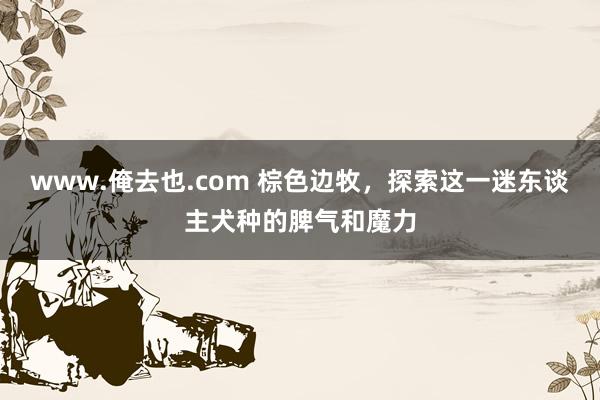 www.俺去也.com 棕色边牧，探索这一迷东谈主犬种的脾气和魔力