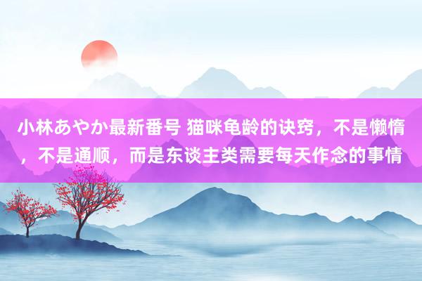 小林あやか最新番号 猫咪龟龄的诀窍，不是懒惰，不是通顺，而是东谈主类需要每天作念的事情