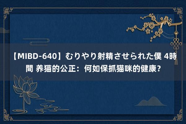 【MIBD-640】むりやり射精させられた僕 4時間 养猫的公正：何如保抓猫咪的健康？