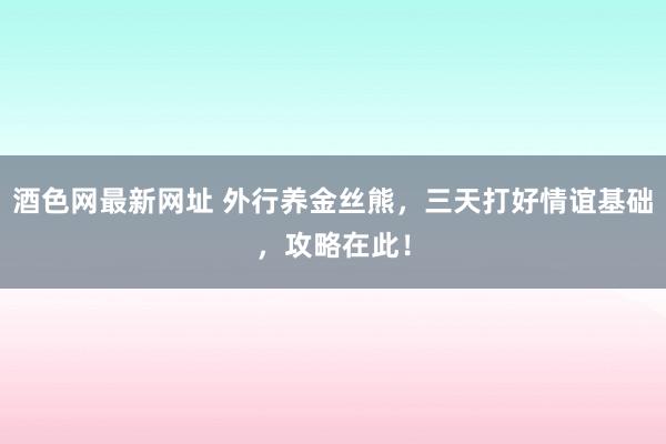 酒色网最新网址 外行养金丝熊，三天打好情谊基础，攻略在此！