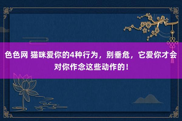 色色网 猫咪爱你的4种行为，别垂危，它爱你才会对你作念这些动作的！