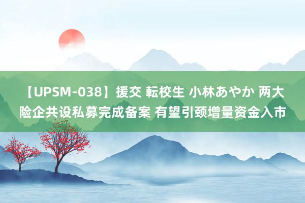 【UPSM-038】援交 転校生 小林あやか 两大险企共设私募完成备案 有望引颈增量资金入市