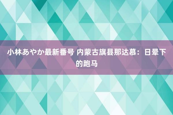 小林あやか最新番号 内蒙古旗县那达慕：日晕下的跑马