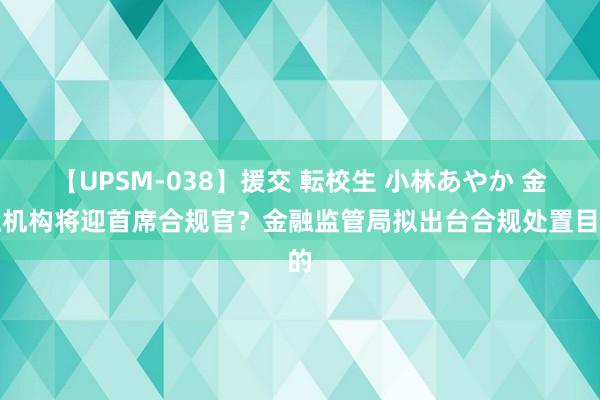 【UPSM-038】援交 転校生 小林あやか 金融机构将迎首席合规官？金融监管局拟出台合规处置目的