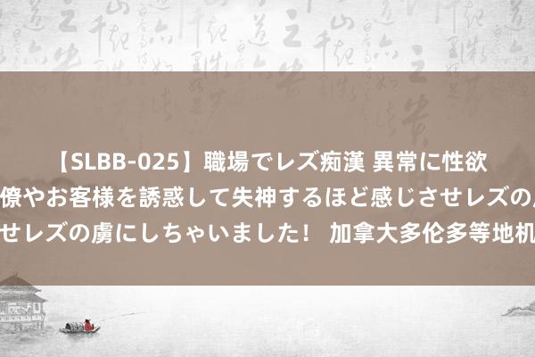 【SLBB-025】職場でレズ痴漢 異常に性欲の強い私（真性レズ）同僚やお客様を誘惑して失神するほど感じさせレズの虜にしちゃいました！ 加拿大多伦多等地机场部分系统瘫痪