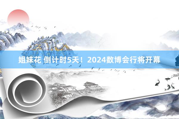 姐妹花 倒计时5天！2024数博会行将开幕