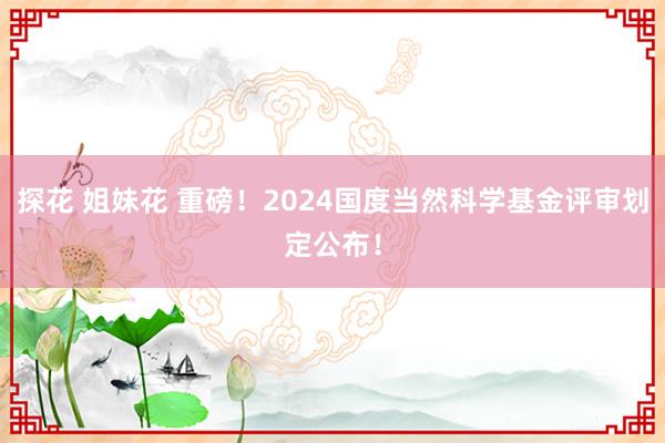 探花 姐妹花 重磅！2024国度当然科学基金评审划定公布！