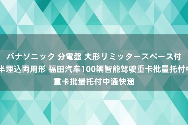 パナソニック 分電盤 大形リミッタースペース付 露出・半埋込両用形 福田汽车100辆智能驾驶重卡批量托付中通快递