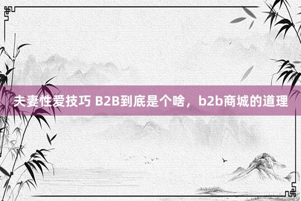 夫妻性爱技巧 B2B到底是个啥，b2b商城的道理