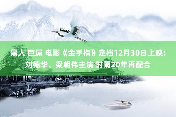 黑人 巨屌 电影《金手指》定档12月30日上映：刘德华、梁朝伟主演 时隔20年再配合