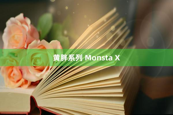 黄胖系列 Monsta X